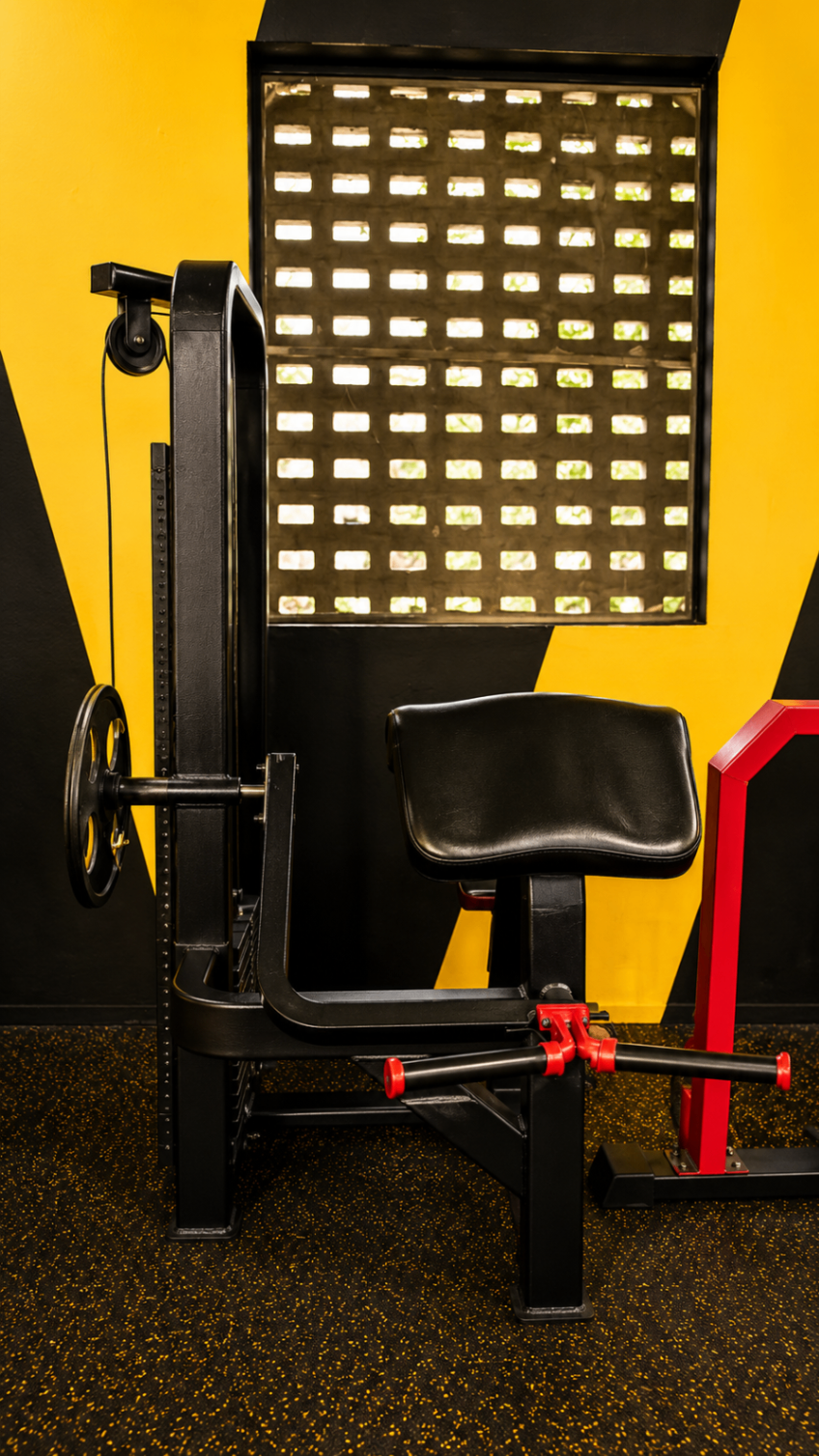 Preacher Curl Bench